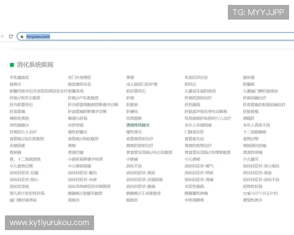 开云网址国际官网入口最新入口地址，全球用户访问开云官网的最佳途径介绍