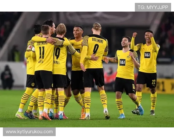 开云足球官网提供的赛事直播和数据分析服务全面解析