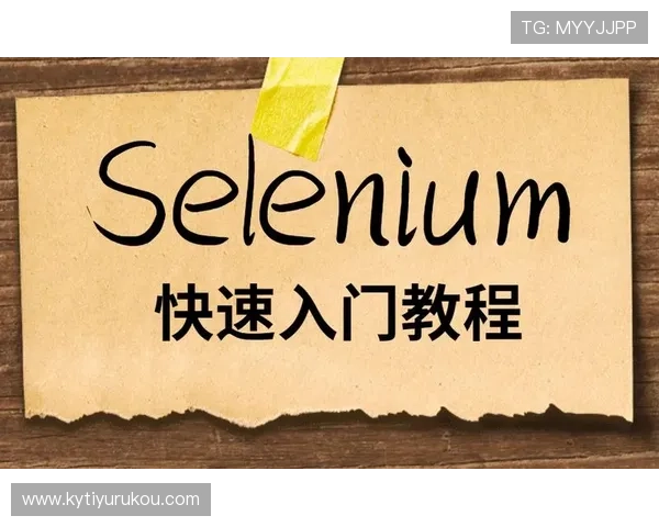 如何快速下载开云app并完成注册登录,详细教程让你轻松开启开云体验 如何快速下载开云app并完成注册登录,详细教程让你轻松开启开云体验