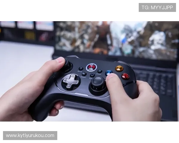 如何安全稳定访问开云地址确保游戏畅玩无忧的详细操作流程