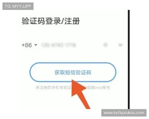 如何快速获取开云官网登录验证码确保账号安全与登录顺畅
