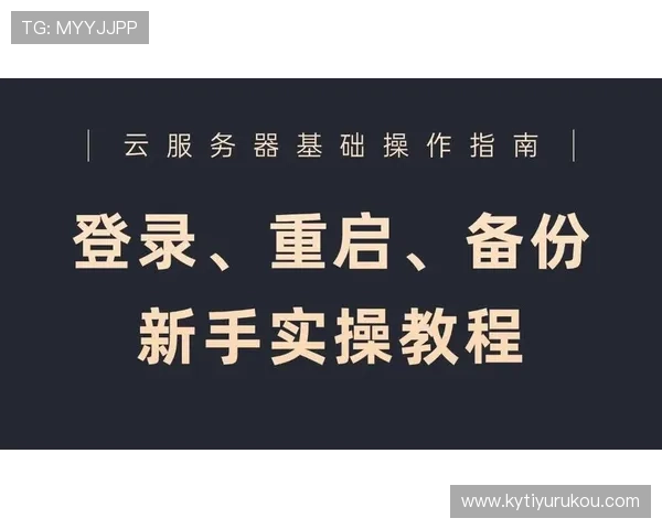 开云首页登录流程详解让新手玩家轻松掌握账号登录技巧